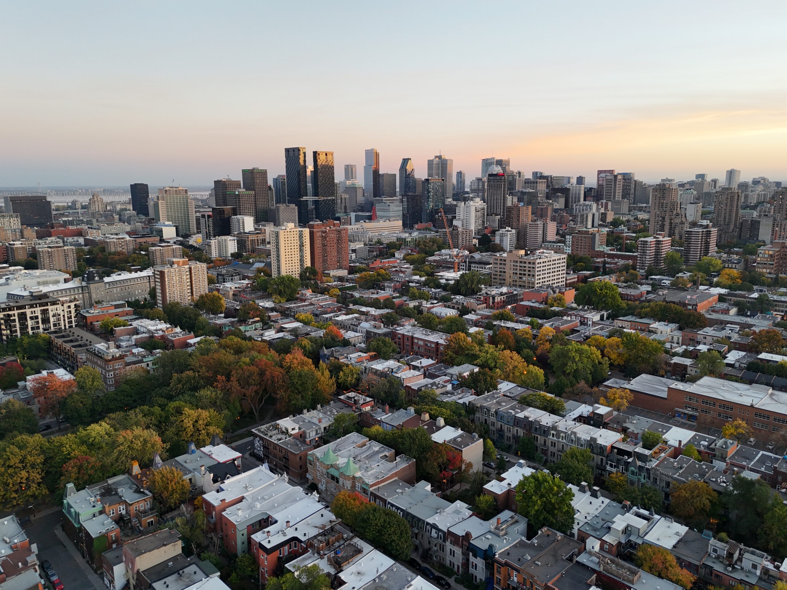 Marché immobilier résidentiel à Montréal 2024 : 9 tendances à suivre